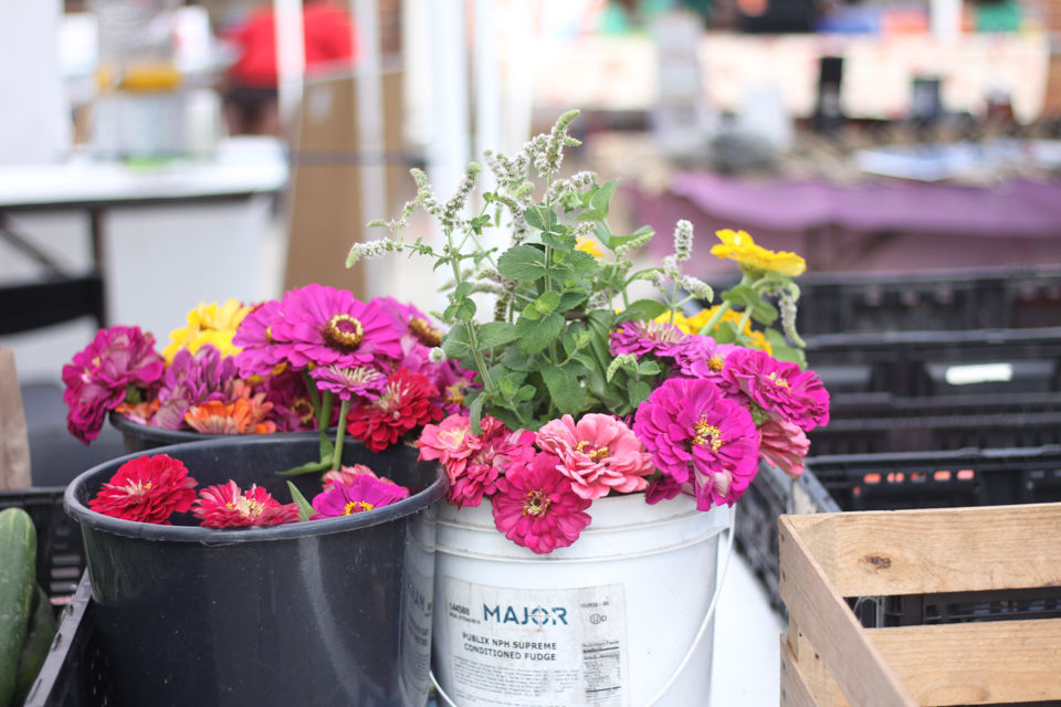 170715_reh_farmersmarket_0001.jpg